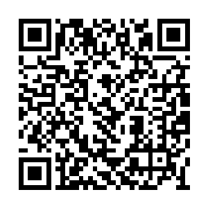 在远古时期都是极具势力的家族用来储藏资源的二维码生成