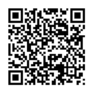 在远处用探测器是无法探明那边究竟发生了什么的二维码生成