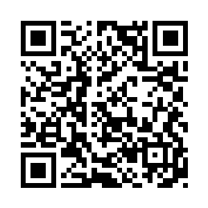 在那两位大人物以及楚氏天族族长等人走后二维码生成