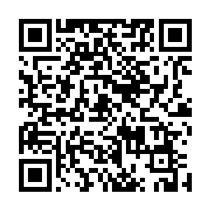 在那个湖边古堡和古城遗址地下室里抢夺的几台笔记本电脑二维码生成
