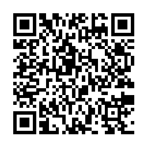 在那已经变成木屑干的牙签自由落体掉落在地面之前二维码生成