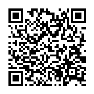 在那砰砰跳动的灵物上一个模糊的身影慢慢显现出来二维码生成