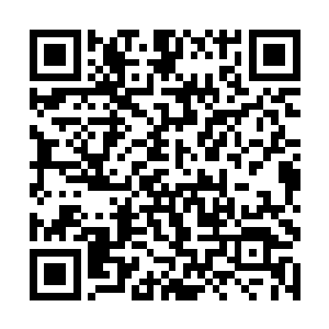 在里面也是非常安分的……用它来镇压这个神葬修罗二维码生成