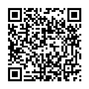 在里面呆了将近二十天的聚贤四怪之中的那个人出来了二维码生成