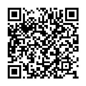 在里面找到消炎药和康生药物给郭雨竹挂上吊瓶二维码生成