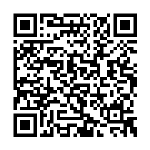 在野外遇上陌生的巫师学徒可不是说着玩的事情二维码生成