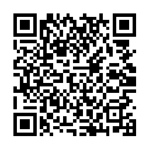 在金夏妍的好奇目光当中打开车门从里面拿了出来二维码生成