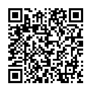 在门口领了自己的手机和其他东西夹看衣服出了检察院的大门二维码生成