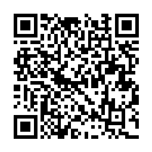 在院子里控制着两只虎型傀儡做出各种各样的动作二维码生成