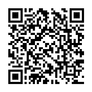 在随手消灭了三个人之后开口就问你的家主在哪里二维码生成