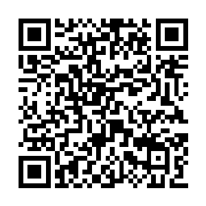 在雄狮镇那种凶险的地方是怎样辛苦经营下去的二维码生成