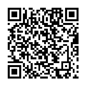 在雪如楼异常无语的看着蠢蠢被熊蛋砸在石壁上好多次后二维码生成