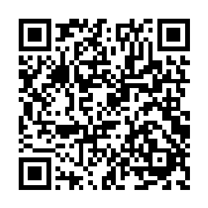 在雷林看起来就是受到了长久的漠视与排挤迫害二维码生成