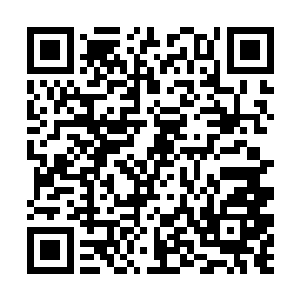 在面对天庭压力四大天王有意控制子嗣数量的情况下二维码生成