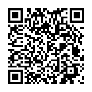 在飞云镖局打人……她哪里招揽来的这么多高手二维码生成