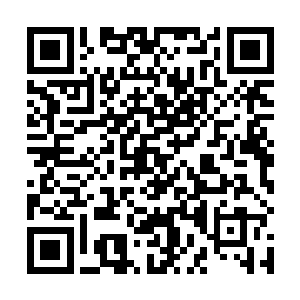 在驾驶室中并没有出来的流墨墨他们却是都紧盯着光幕二维码生成