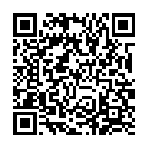 在骨石兽正准备张嘴将掉下来的猎物吞进口中的时候二维码生成