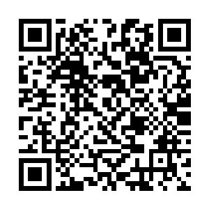 在高扬他们的面前似乎开了一场名贵狩猎用品的展览二维码生成