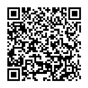 在鳄蛟岛上建起一座能够随时为参加猎海大战的修士补充物资的坊市二维码生成