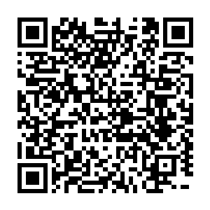 在黑市里可以卖出不错的价格――前提是不被巫师联盟的执法者抓到二维码生成