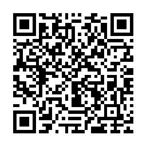 在黑鬼杰夫的手中并没有发生什么太大的作用……所谓的穿甲二维码生成