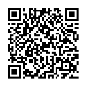 在龙傲天打量对方的同时对方的一行人也在上下打量龙傲天二维码生成