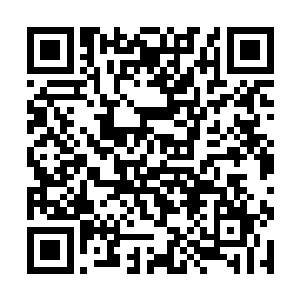 在龙傲天的控制之下也开始疯狂的淬炼起自己的肉身二维码生成