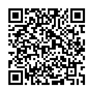 地仙一重天战胜地仙五重天的逆天战斗都经常发生二维码生成