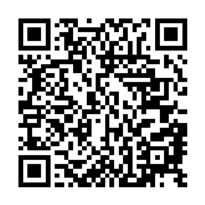 地位在整个奥古斯家族都是至高无上的正式巫师西格弗里德二维码生成