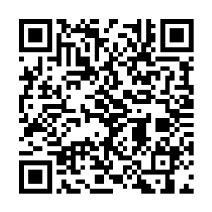 地元界和第一深渊又会恢复到相对平静的对峙状态二维码生成