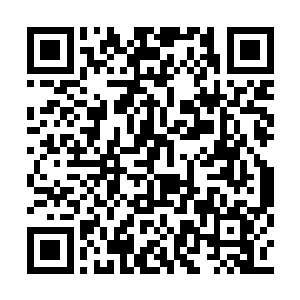 地区财政局都在琢磨着打这个项目股权的心思了二维码生成