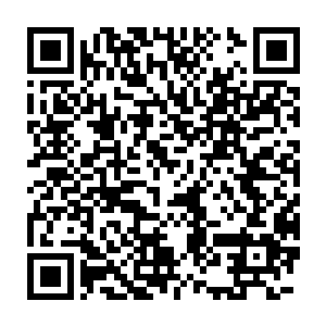 地委更多的是想要听取日后在招商引资工作中如何避免犯类似错误二维码生成