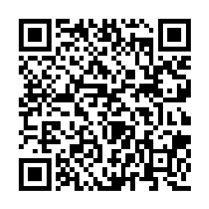 地心之炎化成一条长龙朝着那些虾子席卷了过来二维码生成