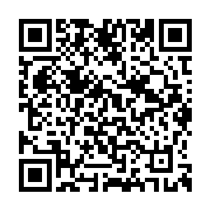 地狱犬只能大致判断格莱诺斯没有离开自己附近二维码生成