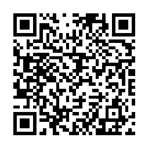 地狱龙蟹显然也没想到自己无坚不摧的泡泡会被一下破开二维码生成