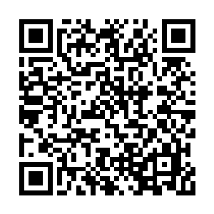 地球最后一个修仙者的卷三三五一小孙儿是混混二维码生成