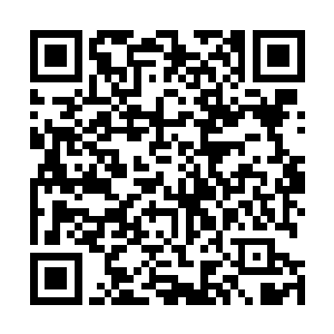 地球的那些修士们被联合域场中的力量惊得吸了一口冷气二维码生成