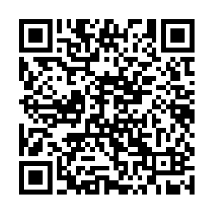 地球这边可是你们赛亚族超级天才莫天机的陨落之地二维码生成
