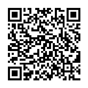 地阶一星武者比寻常玄阶十二星武者强大了将近十倍二维码生成