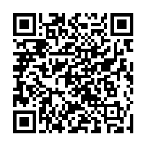 地面上的那些密密麻麻的魔化傀儡绝大多数已经消失了二维码生成