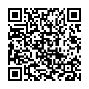 地面被我本命精血所制的引雷天罡符给轰成一片焦土二维码生成