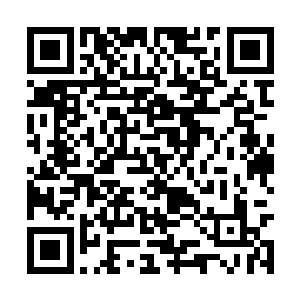 场中的人族也都是惊讶的看向了方恒旁边的月仙了二维码生成