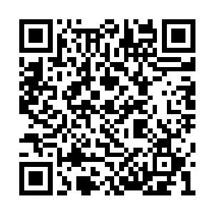 坐在主席台那边的一个不知名前辈立即站了起来二维码生成