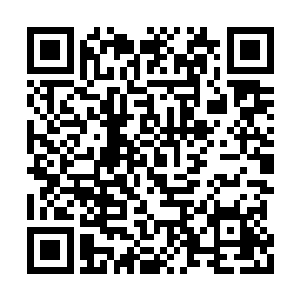 坐在副驾驶的刘雨薇一眨不眨的看着冷轩的侧脸二维码生成