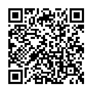 坐在半山腰的一对赤发男女交头接耳嘀咕了一阵二维码生成