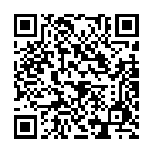 坐在右边第一位身穿八爪蟒袍的男子突然冷冷一声二维码生成