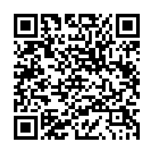 坐在大殿内的天琴家族高层纷纷从椅子上站了起来二维码生成
