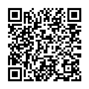 坐在家里面的苏博臣听见电话铃声响起来的时候二维码生成
