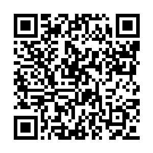 坐在柳逸尘旁边的双色眼睛兔女郎美眸顿时一亮二维码生成