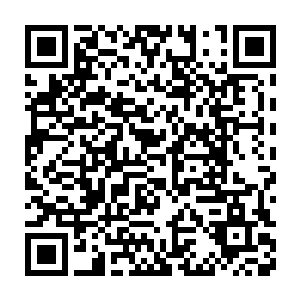 坐在楼顶上居高临下几乎可以俯视除了王宫以外整个王城的任何地方二维码生成